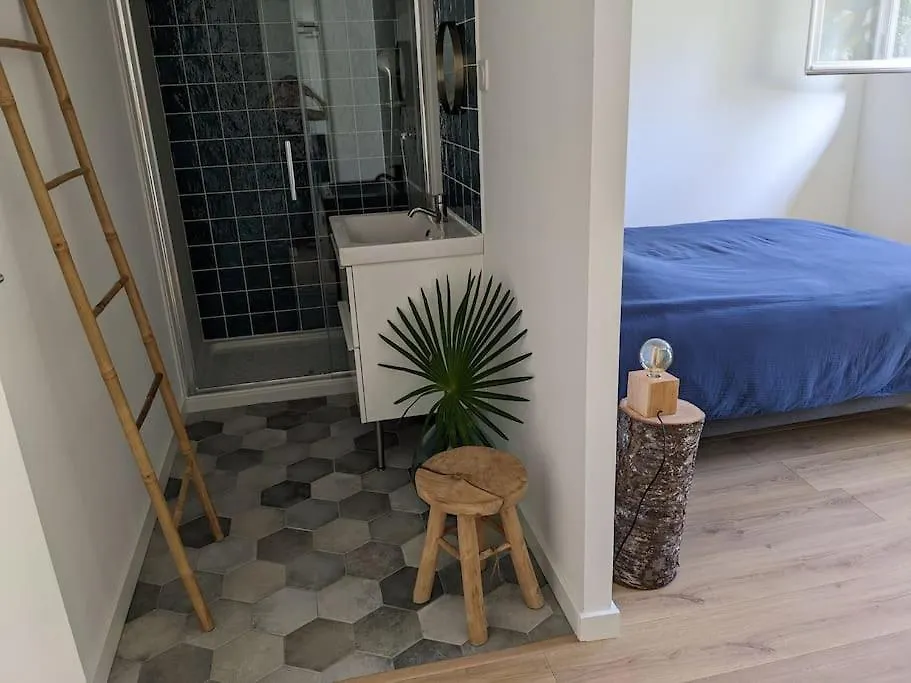 Apartment Appartement Cosy Pres De Toulouse Et Du Gers